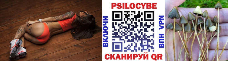 Псилоцибиновые грибы ЛСД где купить наркотик Тамбов