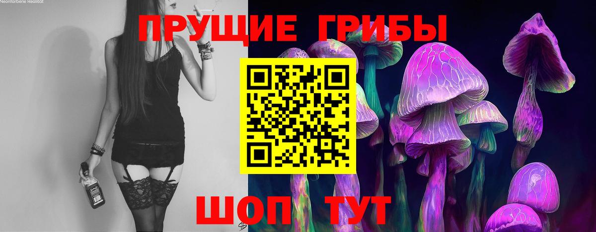 Галлюциногенные грибы Psilocybine cubensis Тамбов