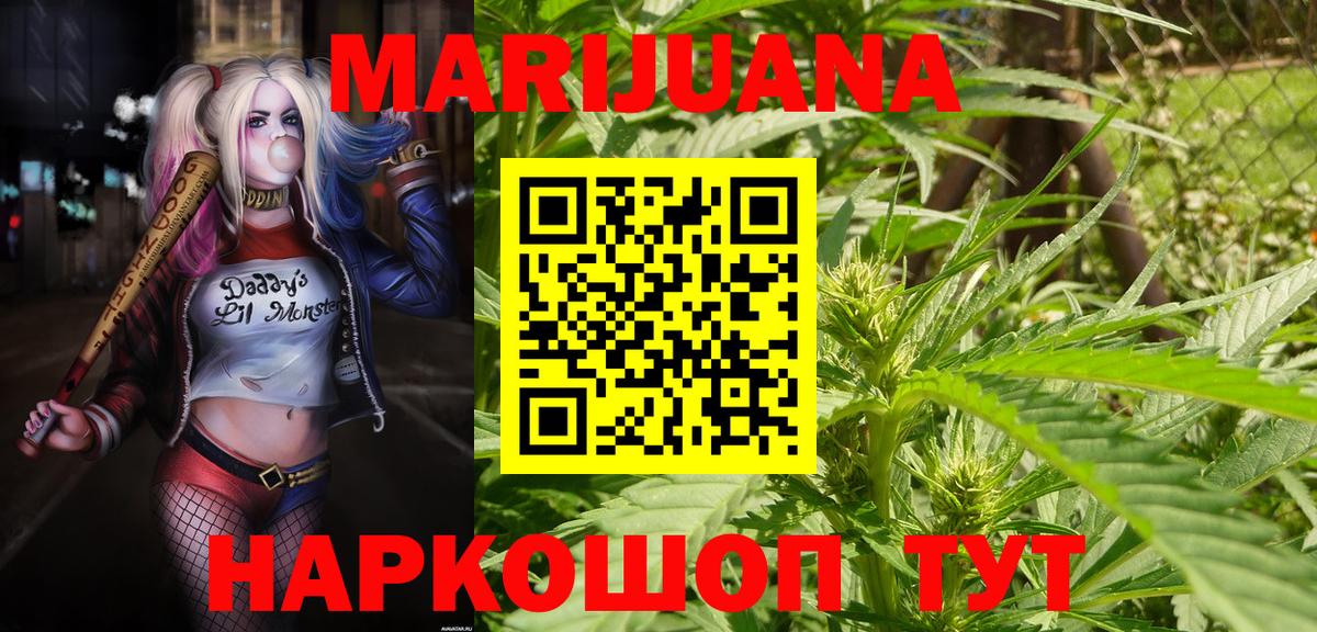 Конопля сатива  Канабис OG Kush  Тамбов  МАРИХУАНА планчик  Вход с VPN 